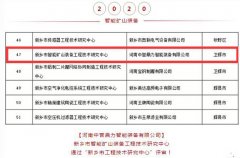 捷報連連 | 中譽鼎力再獲兩項技術(shù)類榮譽！